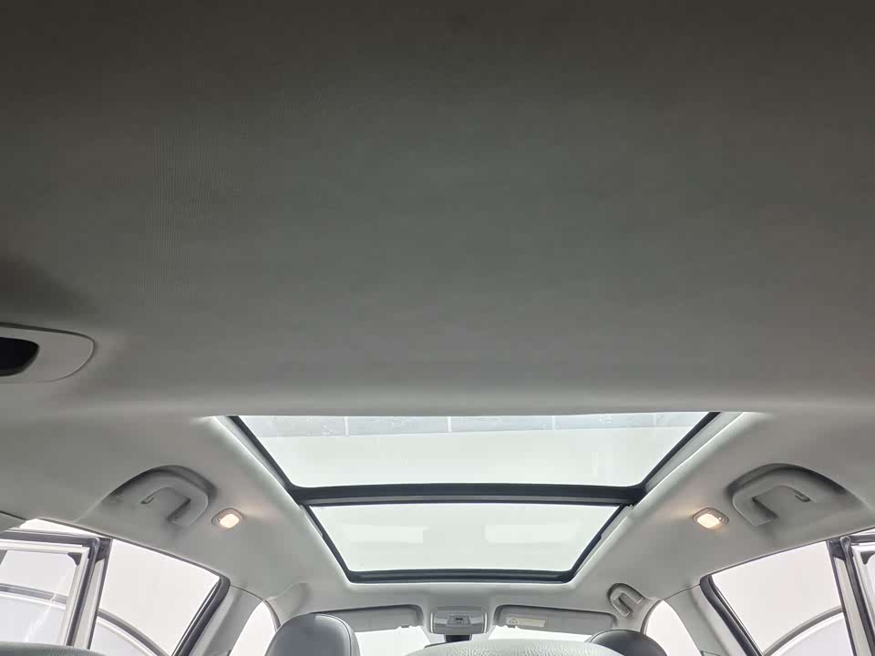 Leopaard Cheetah CS10