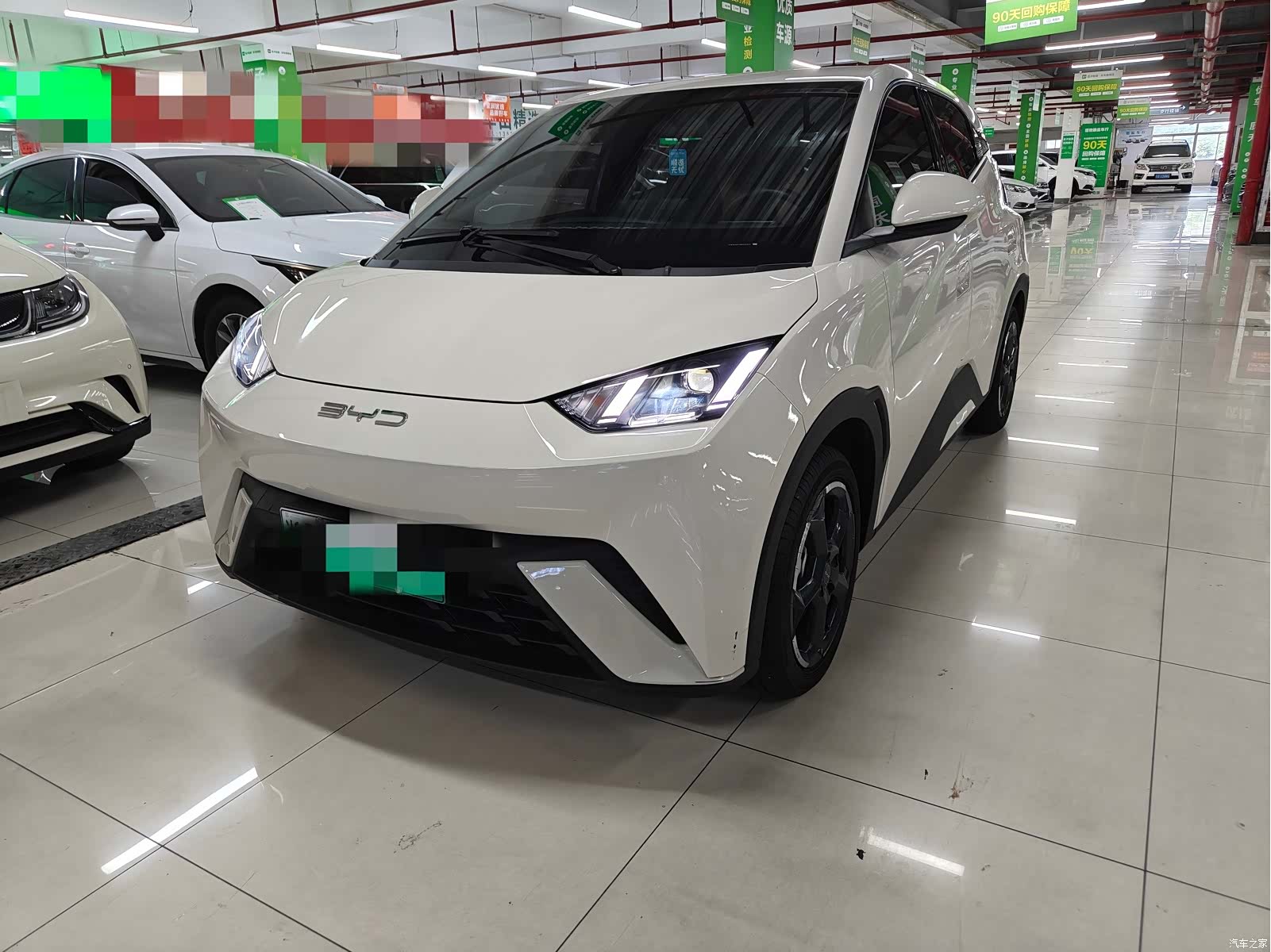 BYD Seagull, 2023 1