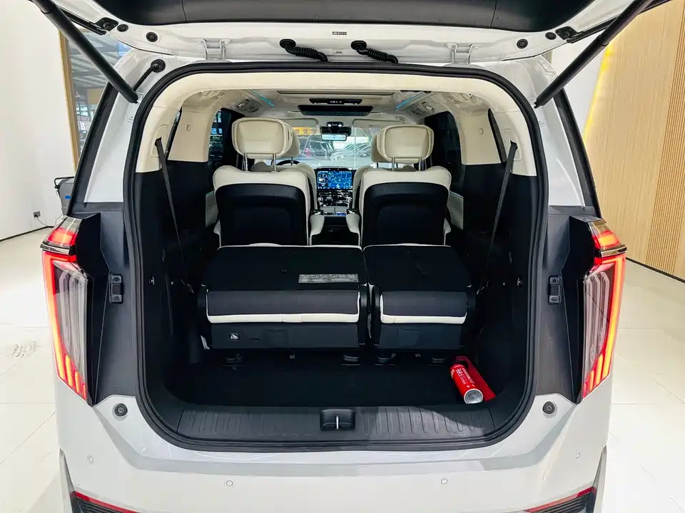 Trumpchi Trumpchi E9