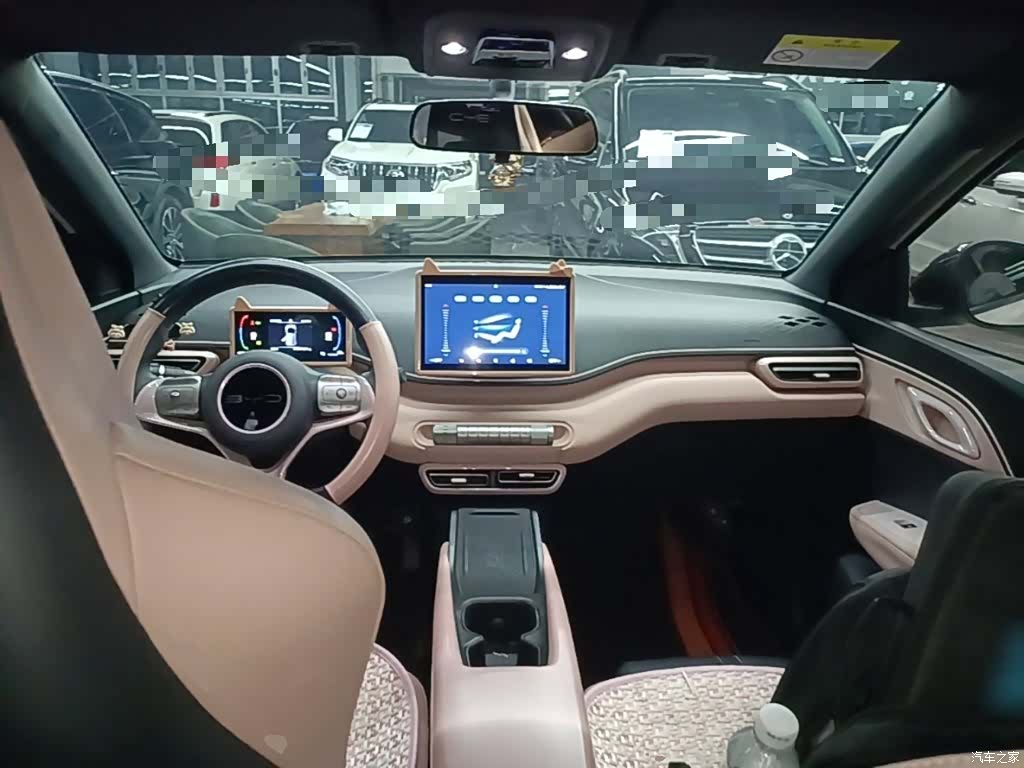 BYD Seagull, 2024 10