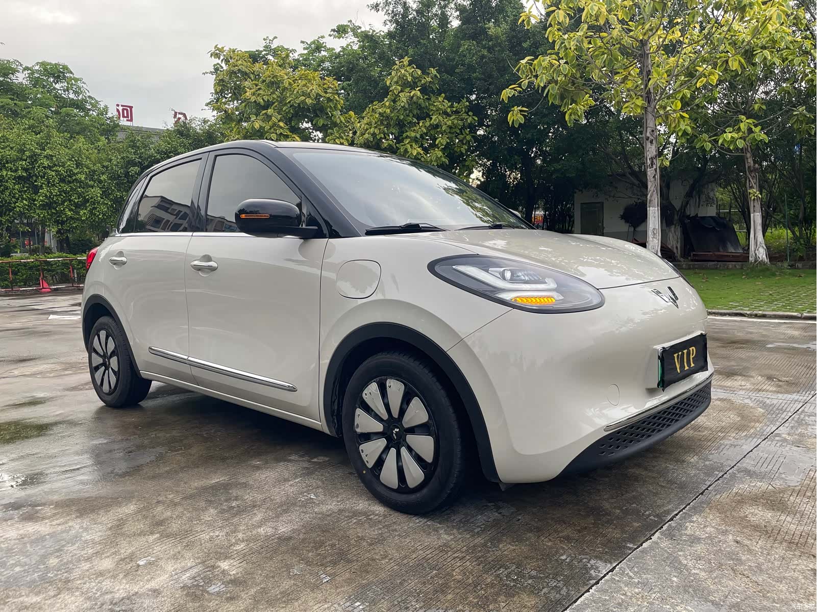 Wuling Bingo, 2024 3