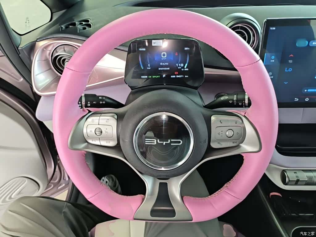 BYD Dolphin, 2022 11