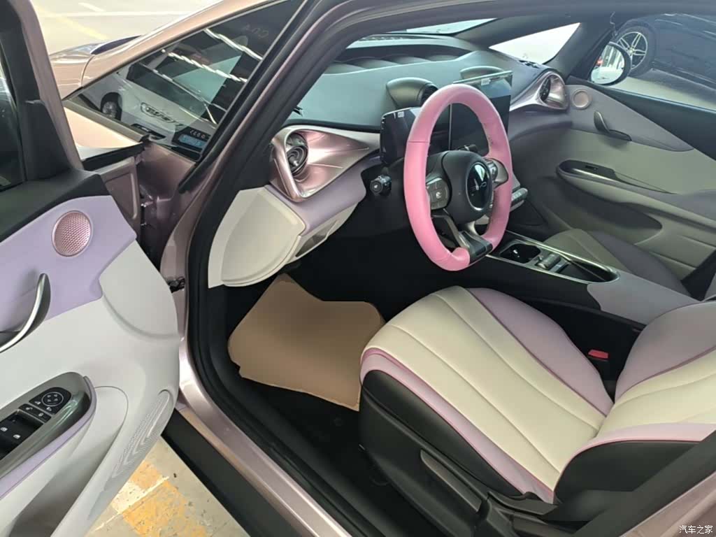 BYD Dolphin, 2022 16