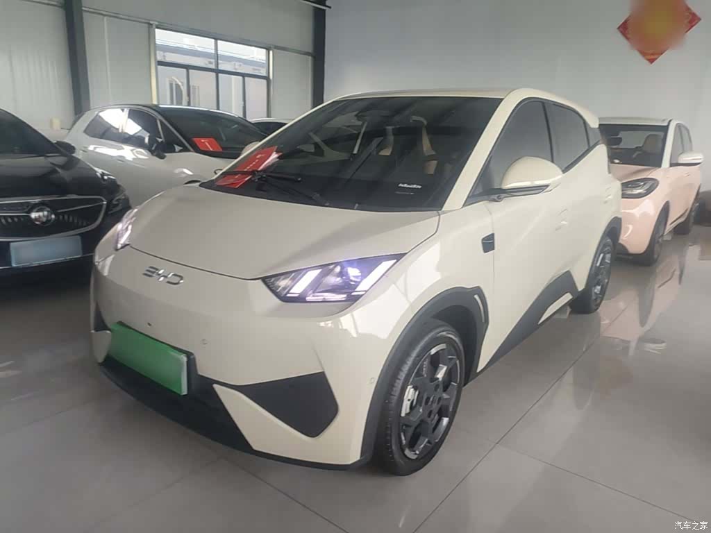 BYD Seagull, 2025 1