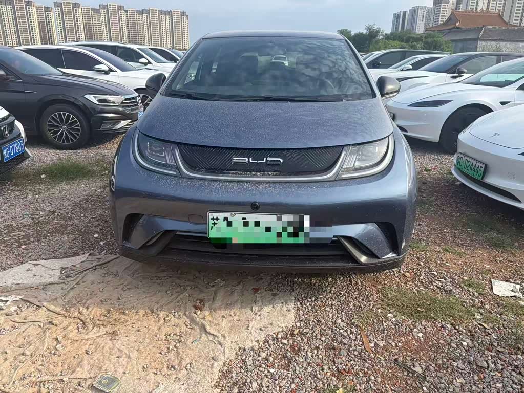 BYD Dolphin