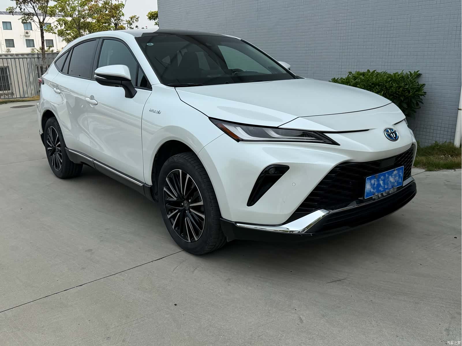 Toyota Venza, 2024 1