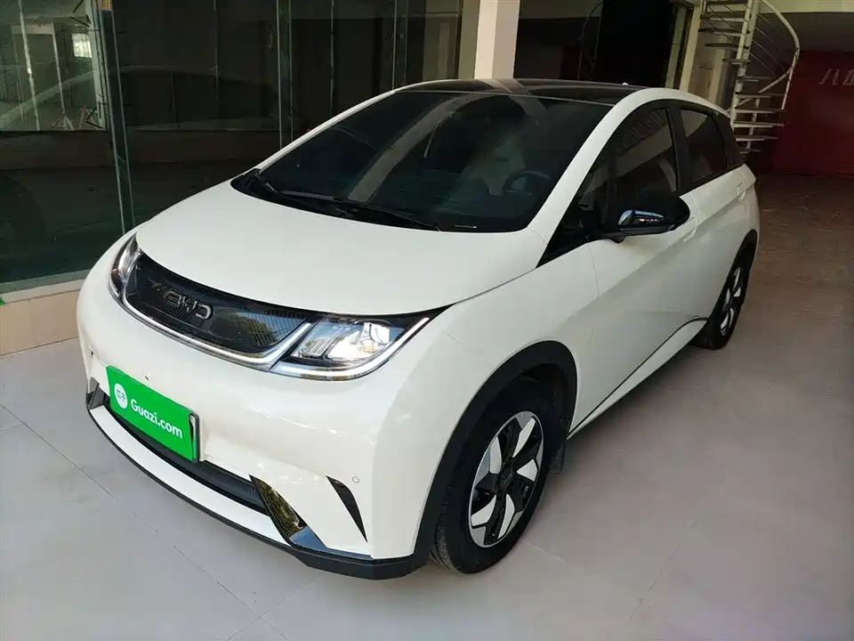 BYD dolphin