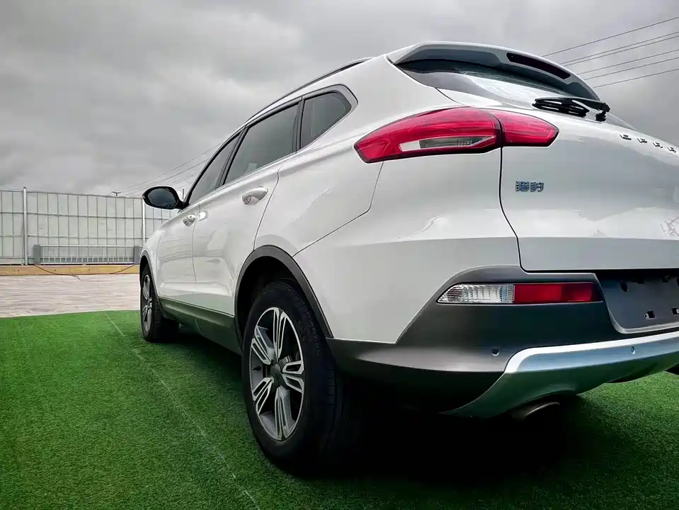 Leopaard Cheetah CS10