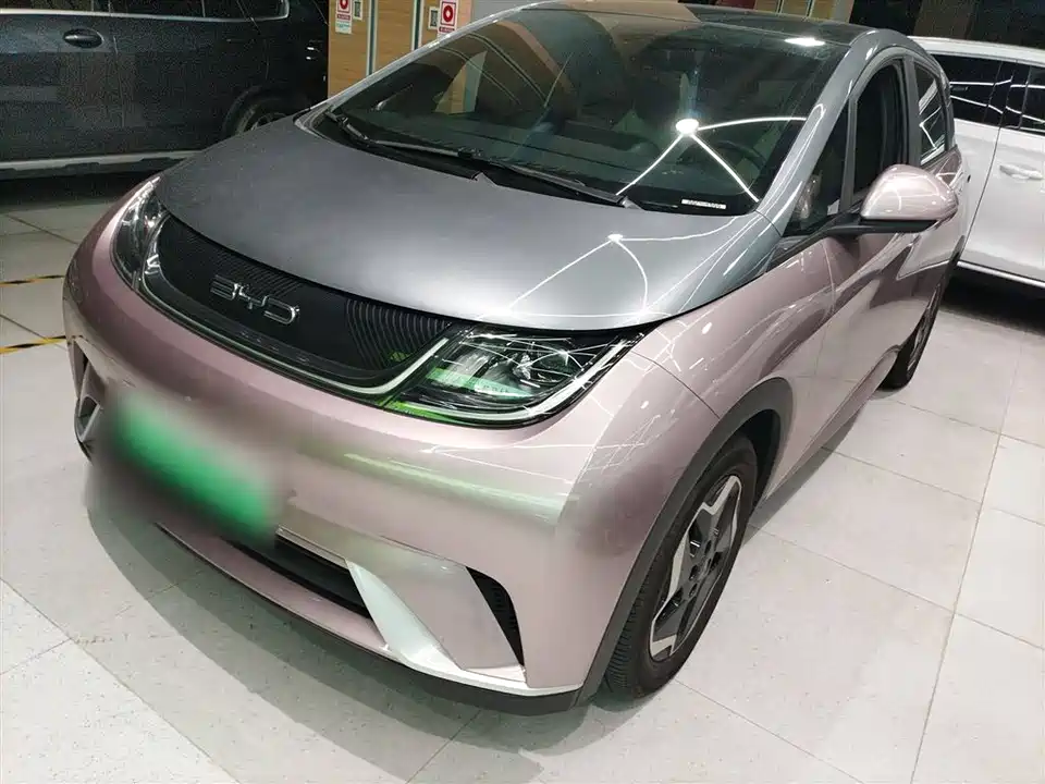 BYD dolphin