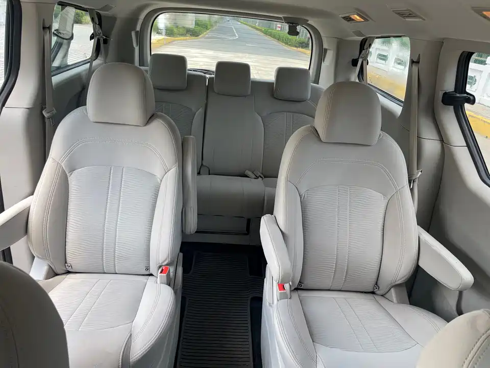 MAXUS Chase G10
