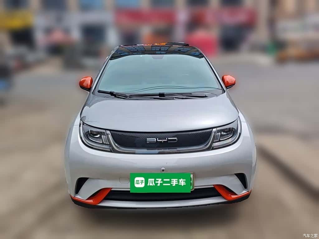 BYD Dolphin, 2022 24