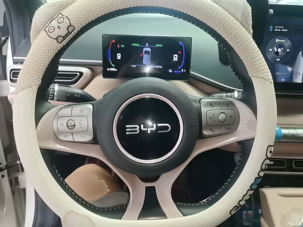 BYD Seagull, 2025 11