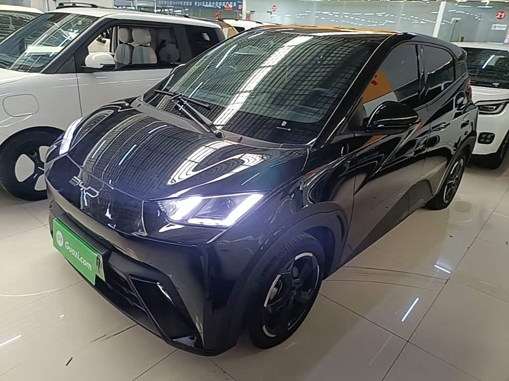 BYD Seagull