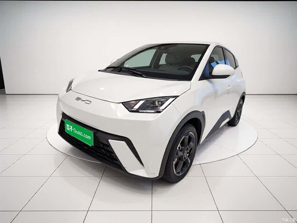 BYD Seagull, 2023 1