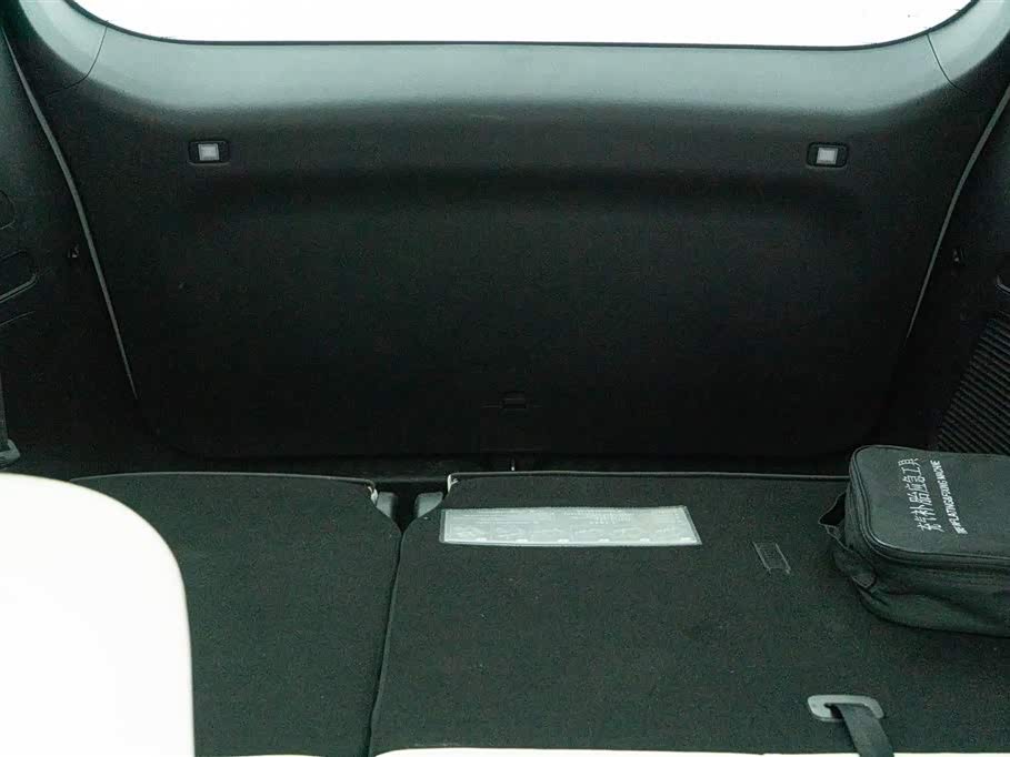 Trumpchi Trumpchi E9