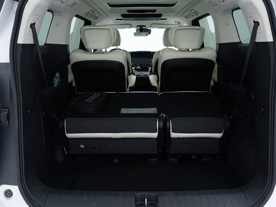 Trumpchi Trumpchi E9