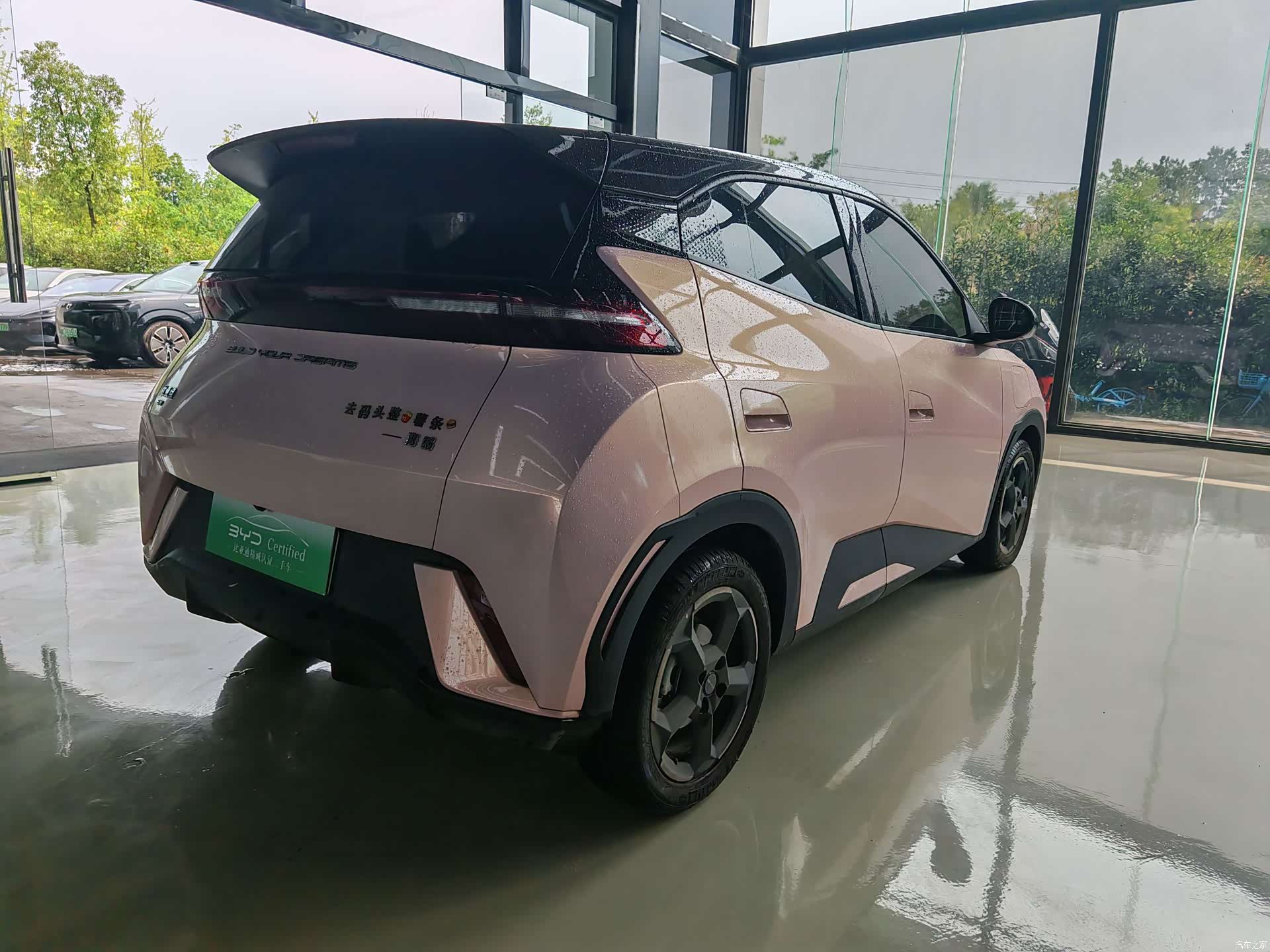 BYD Seagull, 2024 12