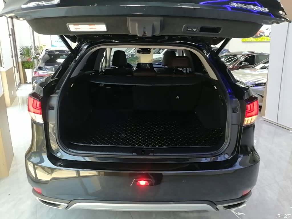 Lexus RX, 2022 19