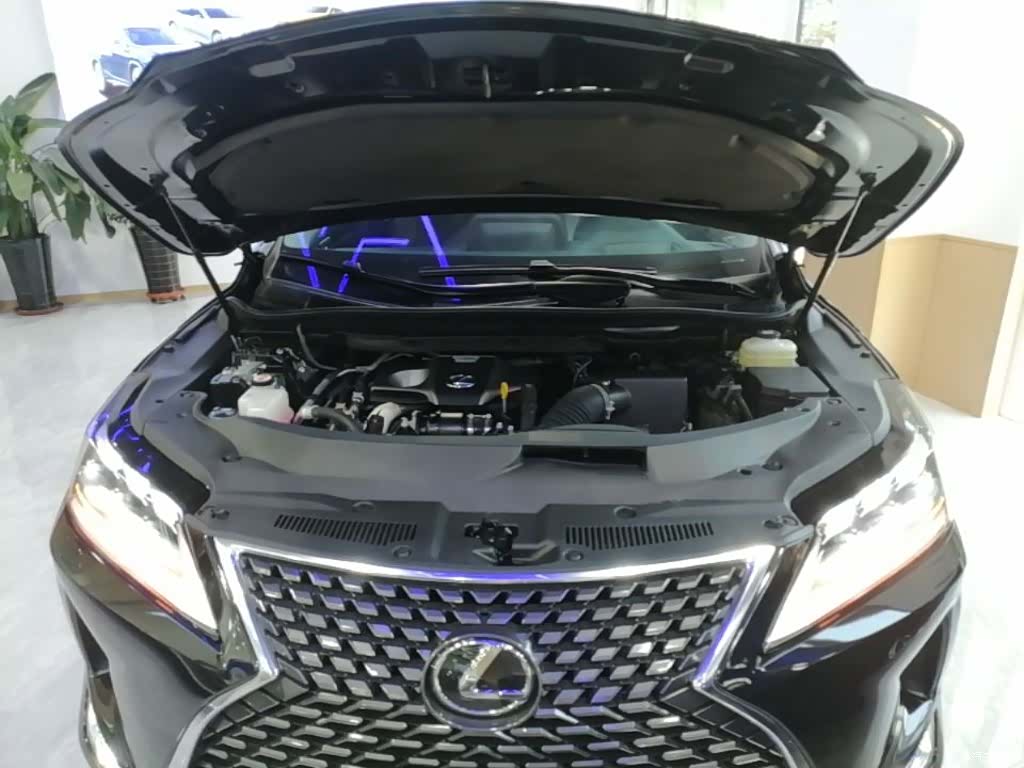 Lexus RX, 2022 20