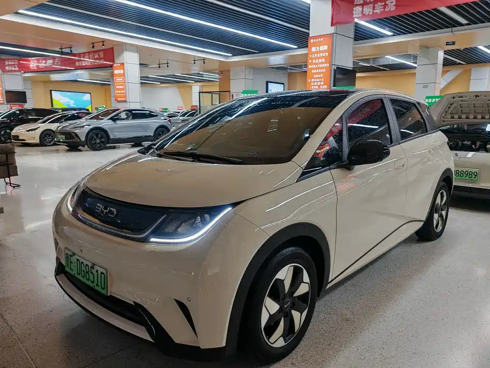 BYD dolphin