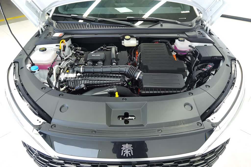 BYD Qin, 2024 10