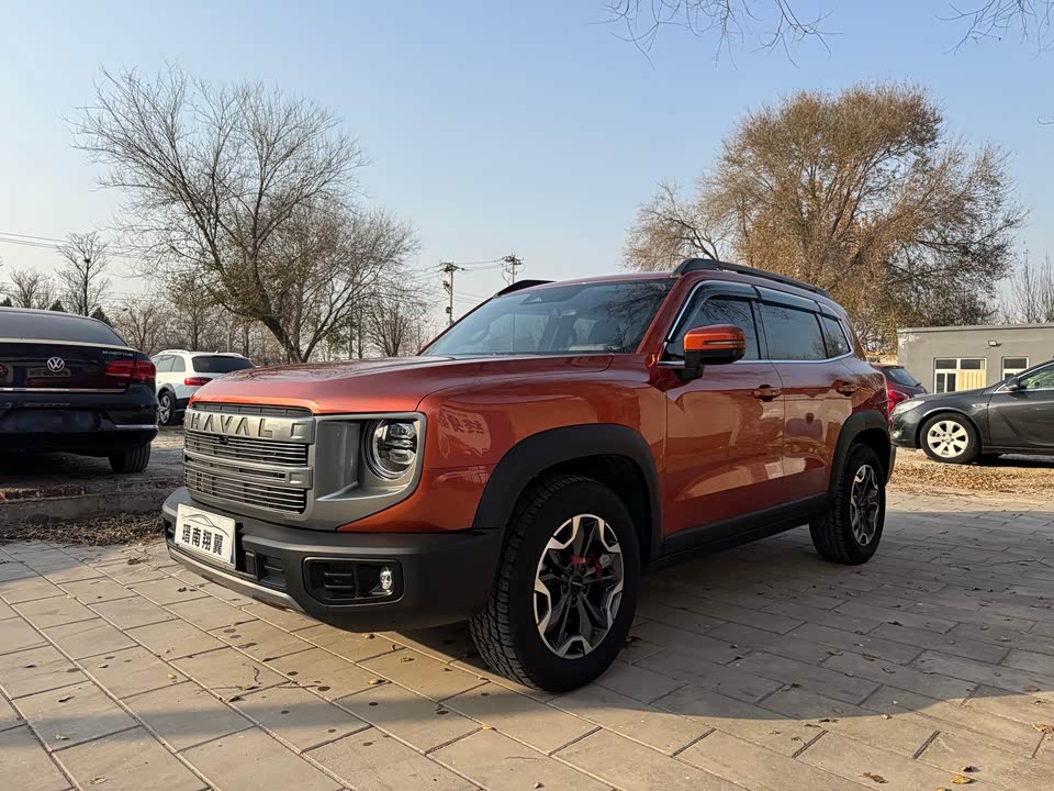 Haval Big dog