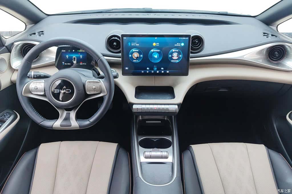 BYD Dolphin, 2026 12