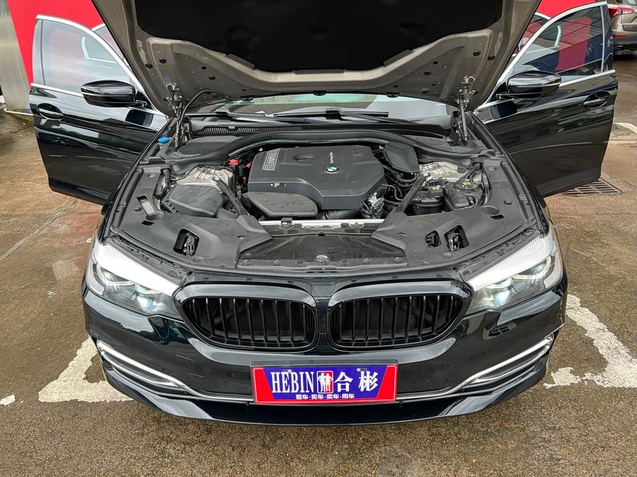 BMW 5 Series 2018, фото 6