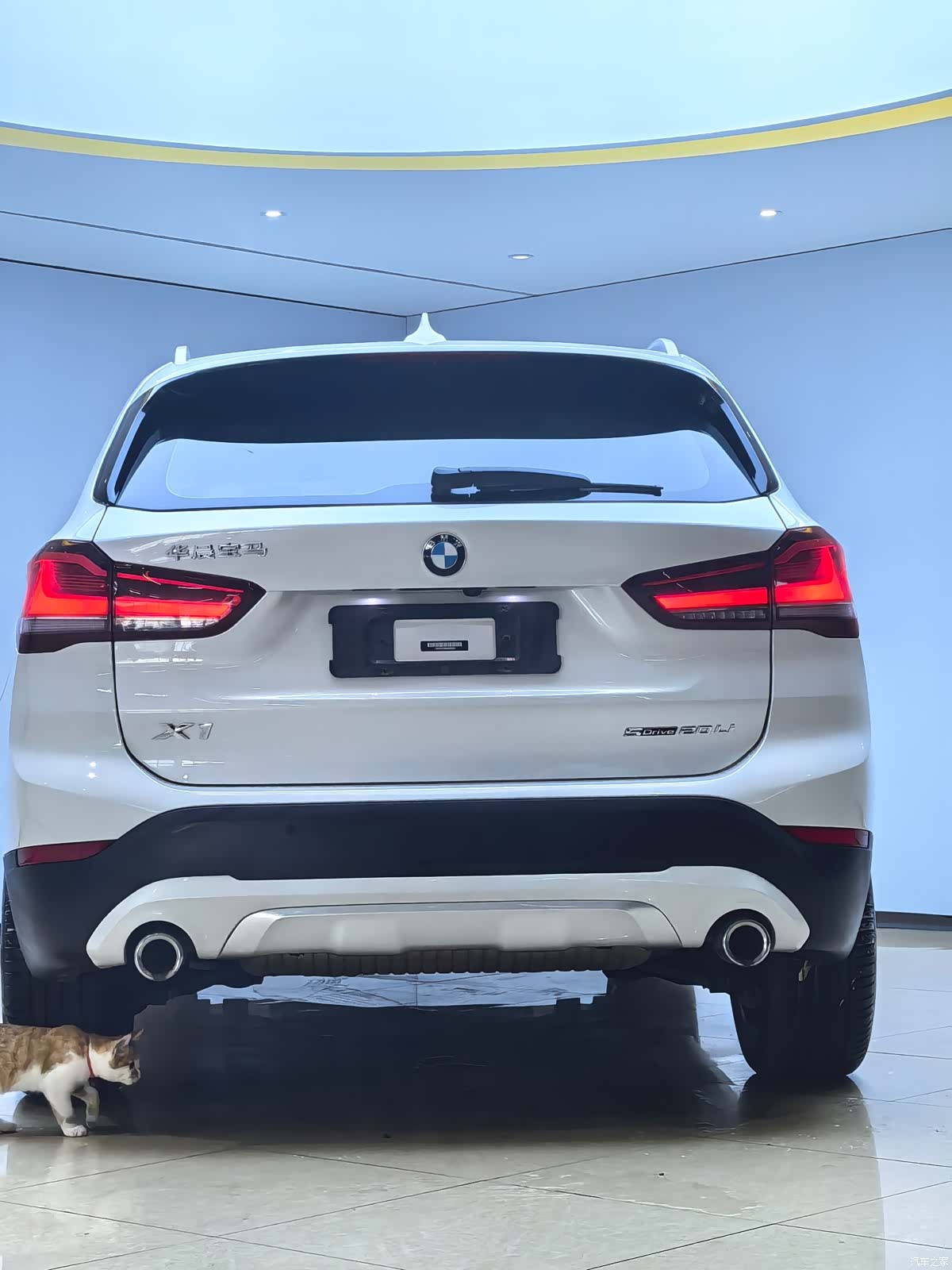 BMW X1, 2022 все фото