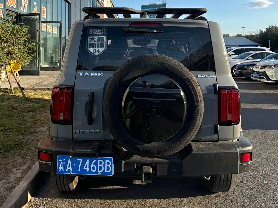 Tank 300