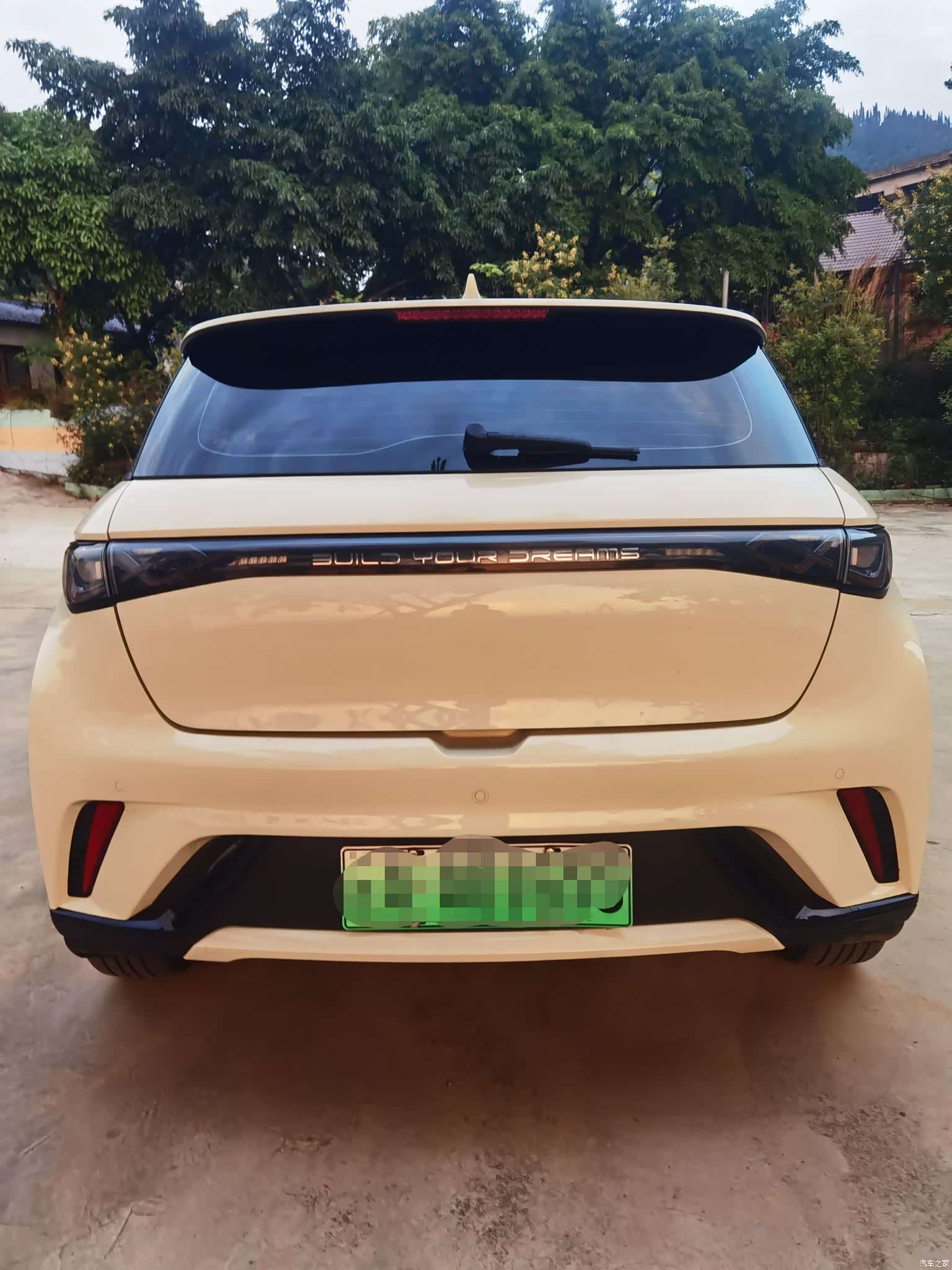 BYD Dolphin, 2024 4
