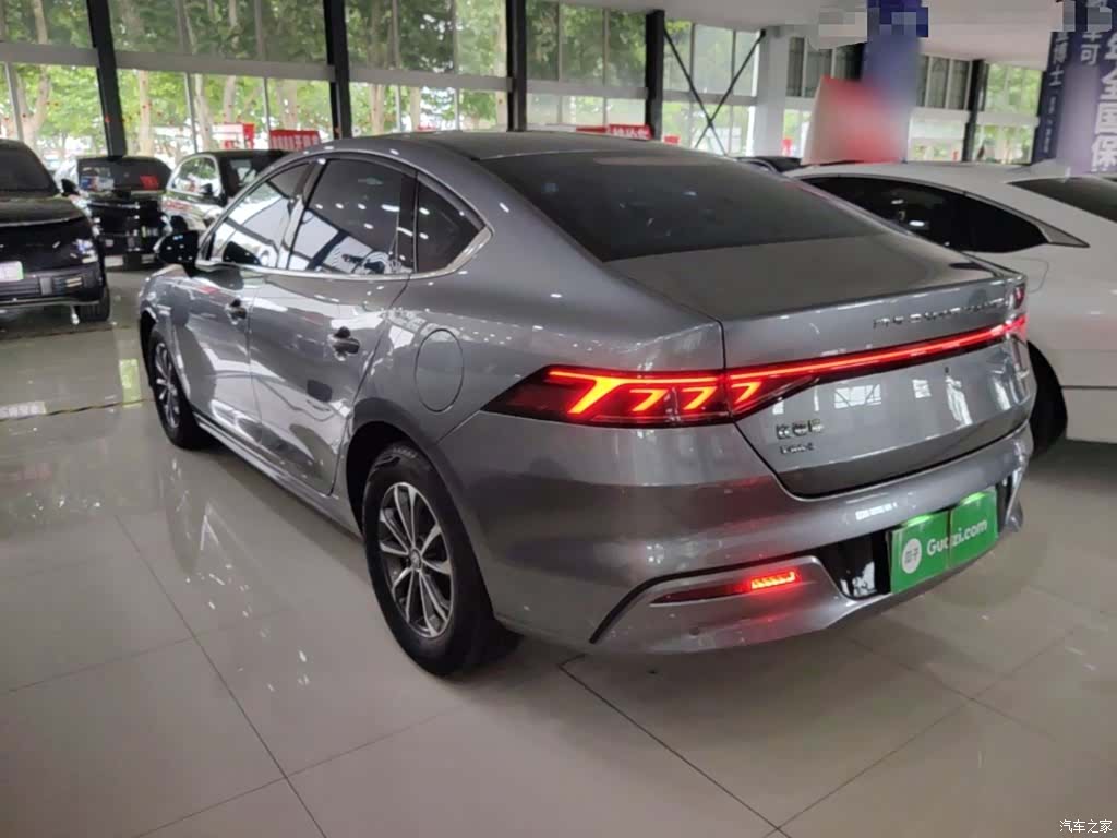 BYD Qin, 2024 все фото