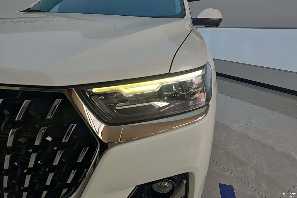 Haval H6, 2023 все фото
