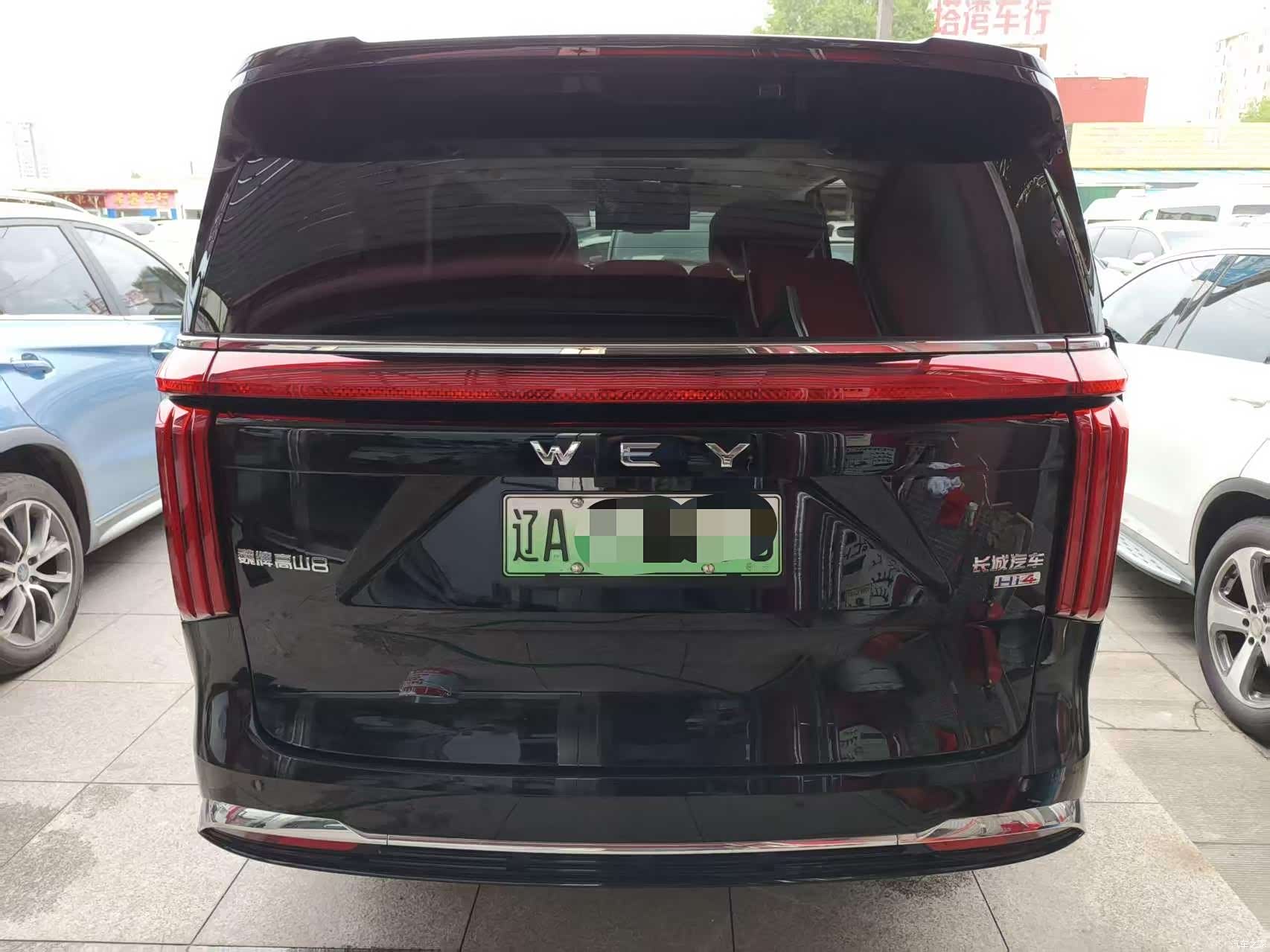WEY Gaoshan, 2025 14