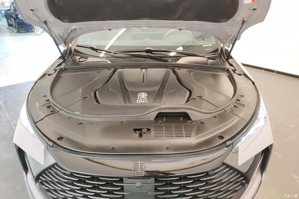BYD Tang, 2025 10