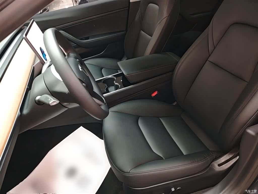 Tesla Model 3, 2020 15
