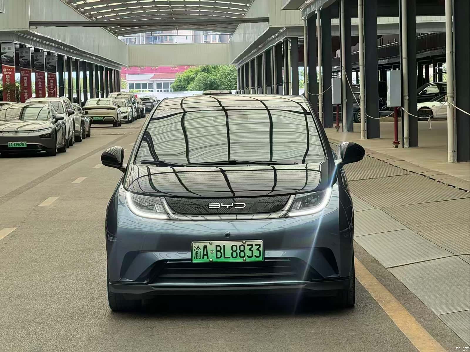 BYD Dolphin, 2023 2