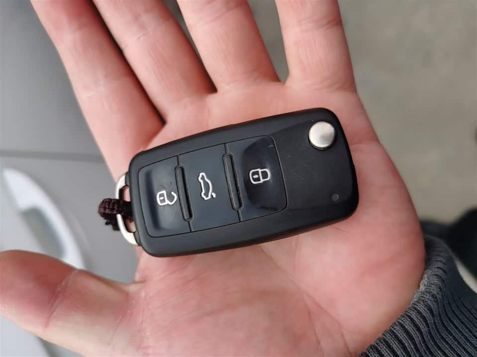 Volkswagen C-TREK Wei Collar