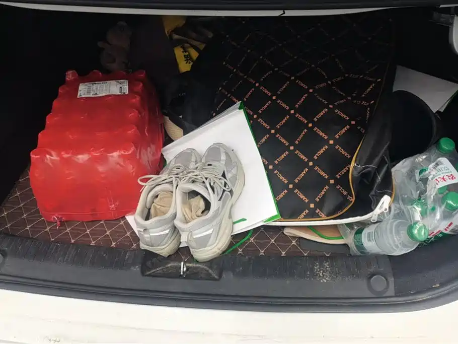 Geely Galaxy Galaxy L6