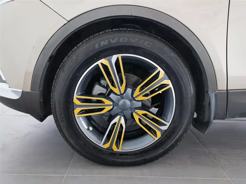 Leopaard Cheetah CS10