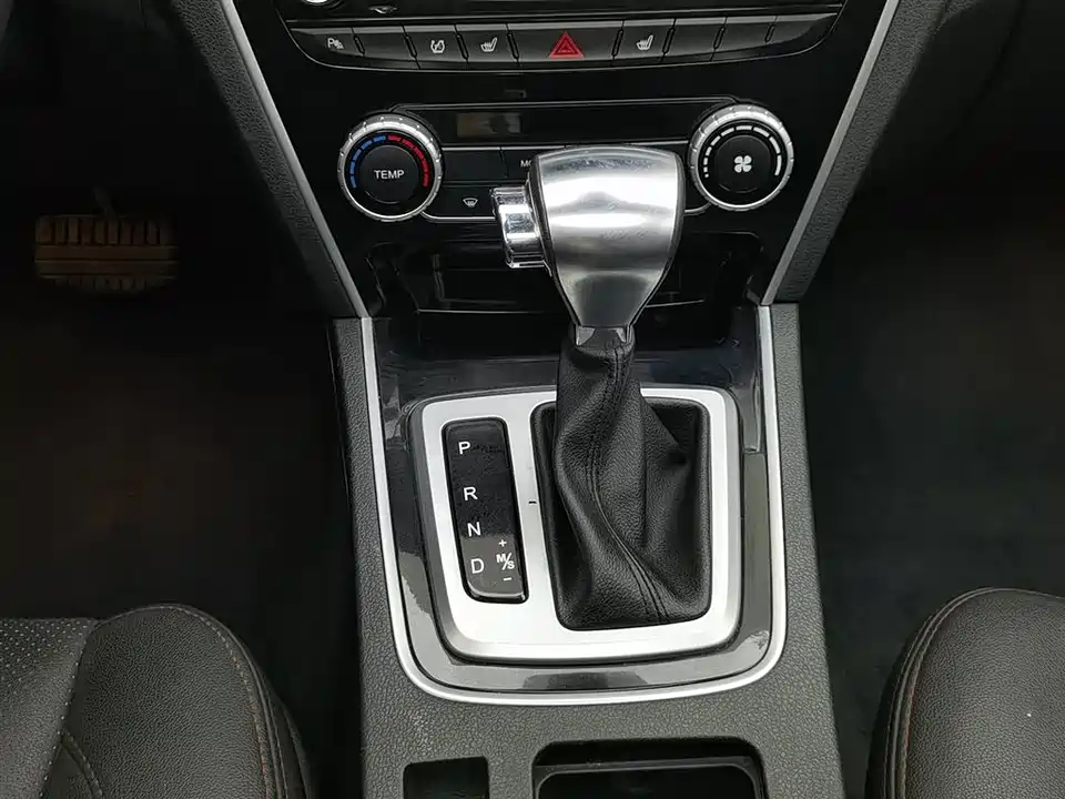 Leopaard Cheetah CS10