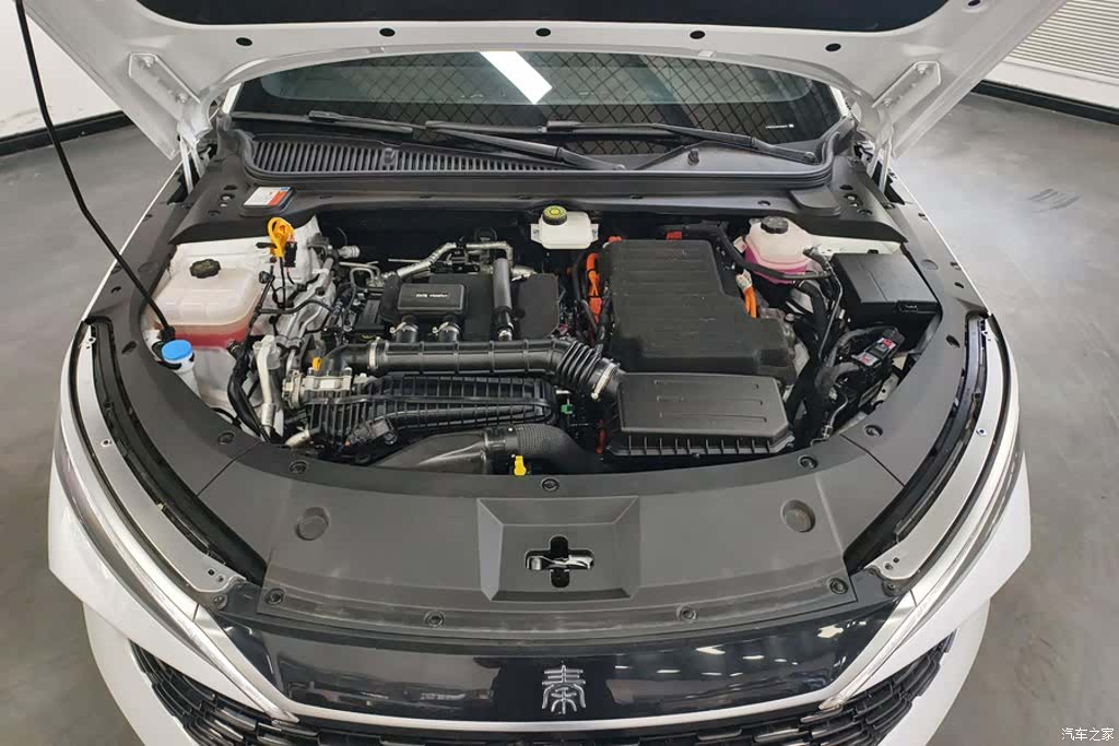 BYD Qin, 2024 10
