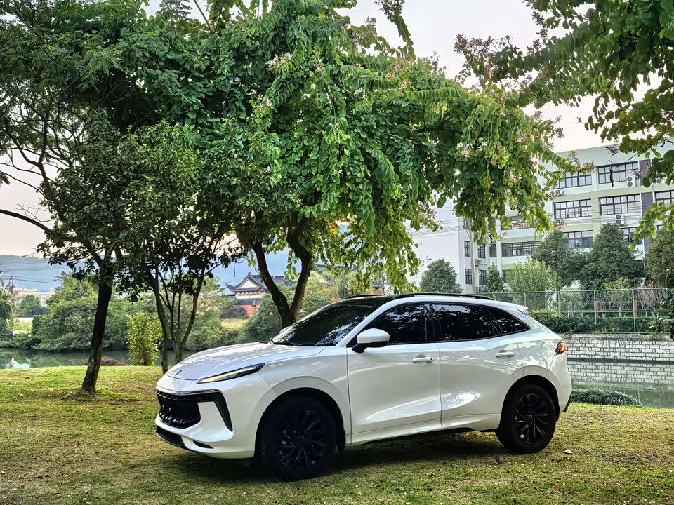 Forthing Popular T5 EVO