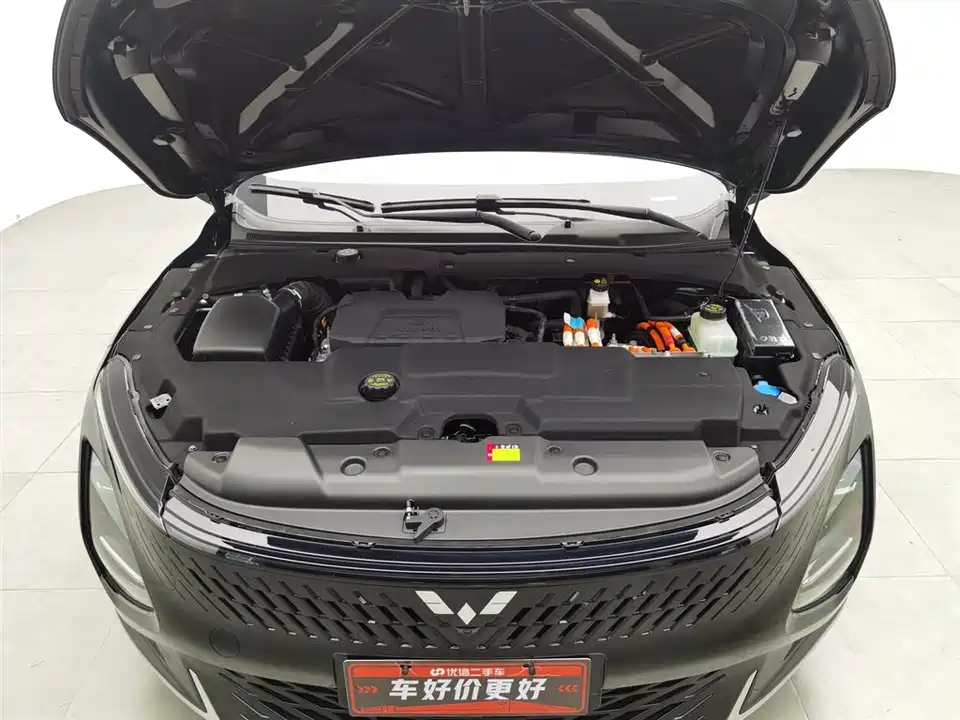 Wuling Wuling Starlight