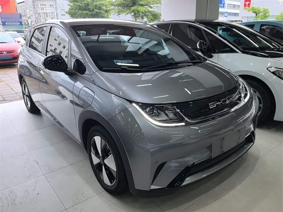 BYD dolphin