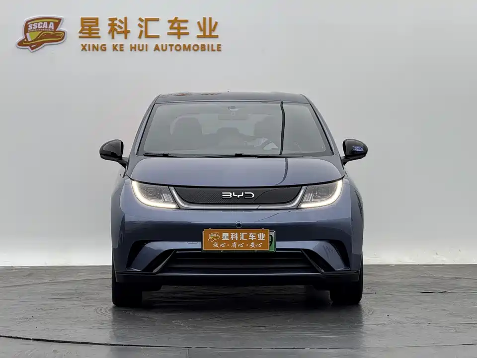 BYD dolphin
