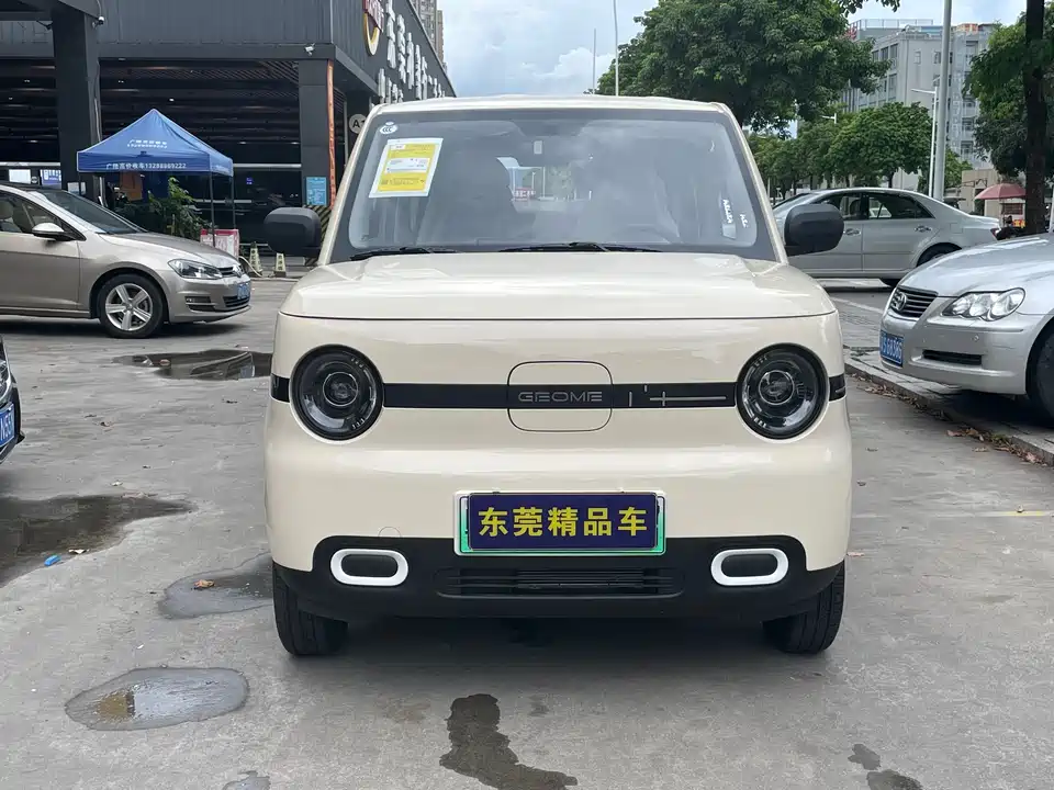 Geely Galaxy panda