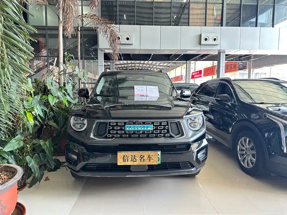 Haval Second-generation big dog Haval Second-generation big dog
