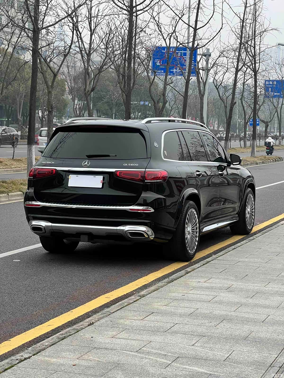 Mercedes-Benz GLS, 2022 все фото