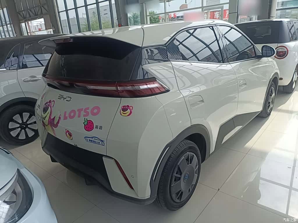 BYD Seagull, 2024 7